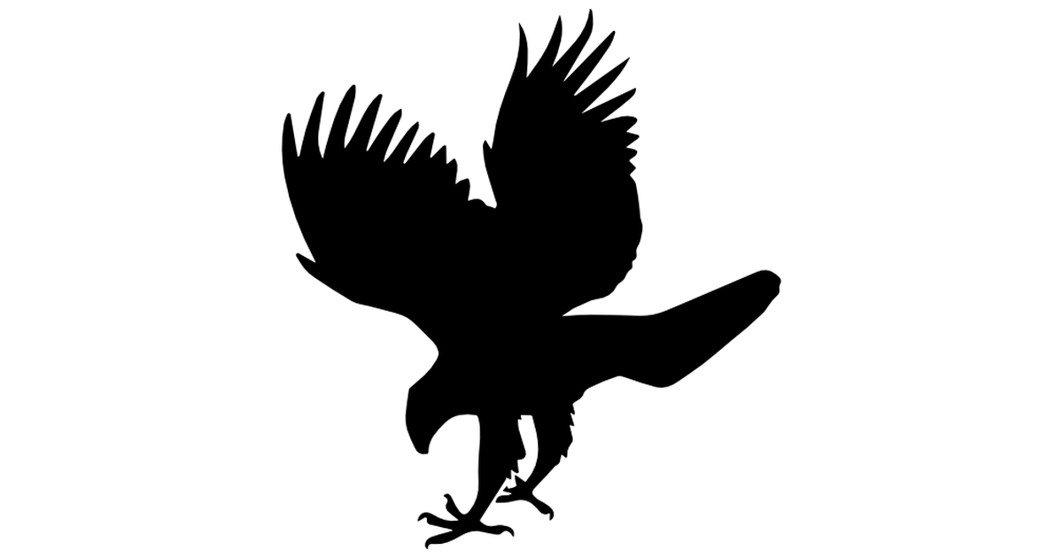 Info-Hawk